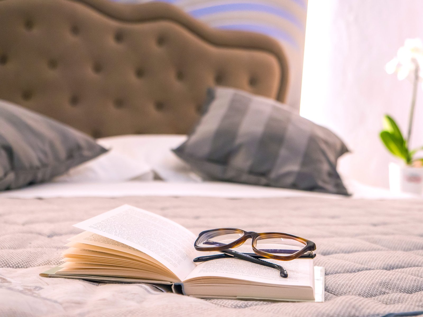 daniela-moroni-fotografie-foto-de-interiores-15 daniela-moroni-fotografie-foto-de-interiores-15